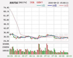 總經理秘書辭職報告(總經理秘書辭職報告)