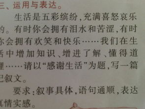 生活是自己的作文600字作文開(kāi)頭