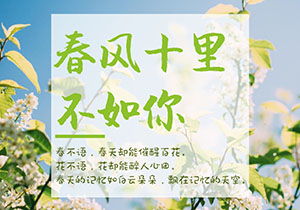 十里春風不如你作文開頭結(jié)尾