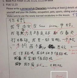 尋找平衡作文開頭