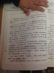 寫(xiě)圖書(shū)作文開(kāi)頭