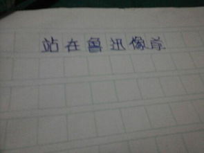 流浪的太陽作文300字左右開頭