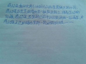 我們是一家的作文開(kāi)頭