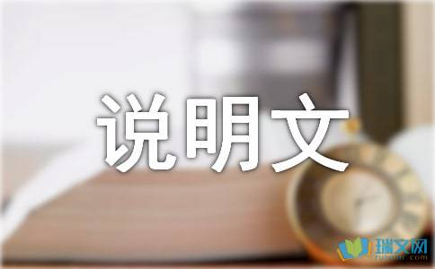 釣魚的開頭作文400字