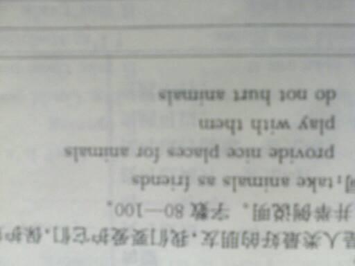 作文,英文,小動物,開頭