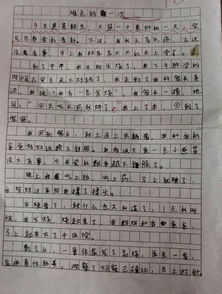 收獲快樂(lè )收獲幸福作文開(kāi)頭結尾怎么寫(xiě)