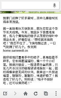 校外見(jiàn)聞作文的開(kāi)頭