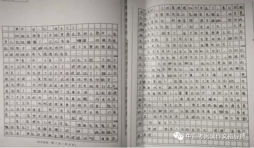 那一刻我長(cháng)大了優(yōu)秀開(kāi)頭作文