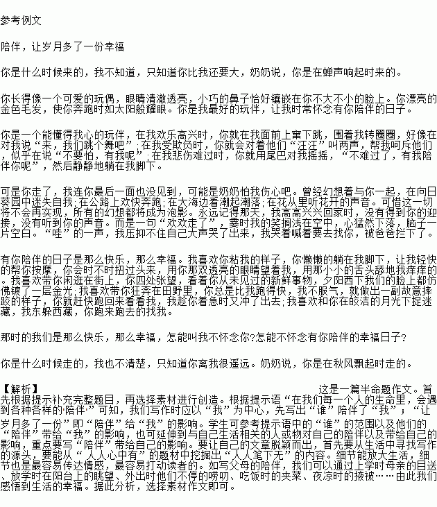 陪伴讓我多了一分溫暖作文開(kāi)頭結(jié)尾
