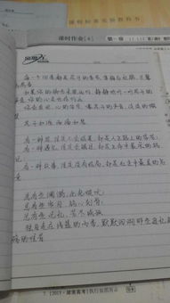 偶遇的作文開(kāi)頭句