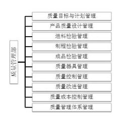 職能管理崗位職責(zé)(職能管理部職責(zé))