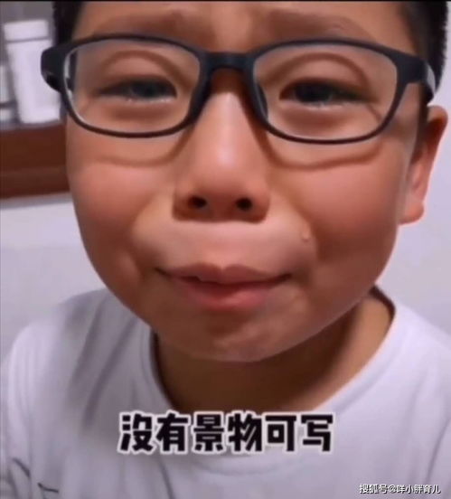 訓練哭的作文開頭