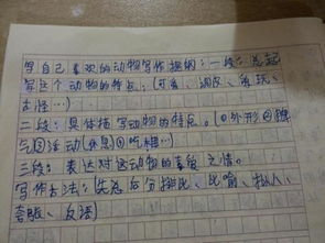 善于小結的竹子作文(善于小結的竹子小學(xué)生作文)