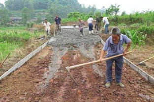 農(nóng)村水泥路修路申請報(bào)告（精選）(農(nóng)村水泥路修路申請報(bào)告)