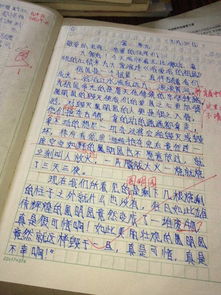 淚水作文開(kāi)頭結尾概括