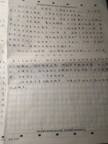 生活要有詩和遠(yuǎn)方作文800字作文開頭
