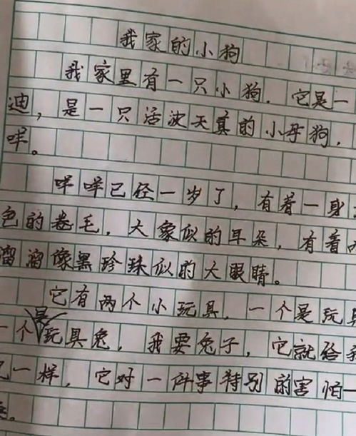 開(kāi)頭結尾點(diǎn)題的作文小學(xué)