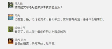 最美高中同學作文開頭結尾