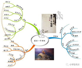 描寫外貌描寫外貌的作文開(kāi)頭