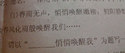 什么悄悄喚醒我作文開(kāi)頭