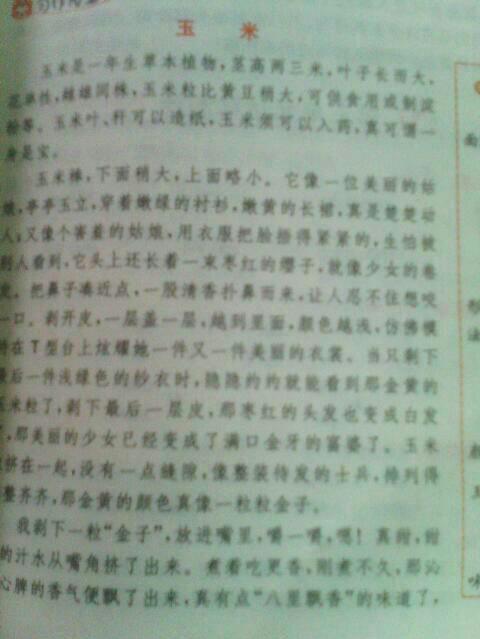介紹一種東西作文(介紹一種東西作文寫(xiě)物作文)