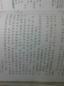體驗人間真情作文開頭
