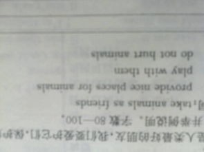 人與動(dòng)物英文小作文開頭