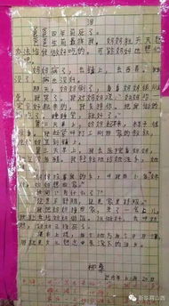 本心依然作文開頭