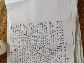 陪伴作文開頭有時陪伴是一個景