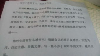 以感悟名言為題目的作文開頭和結尾