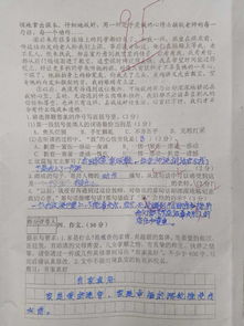 家真好六級(jí)作文開頭
