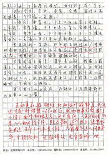 觸動我心靈的交流作文開頭
