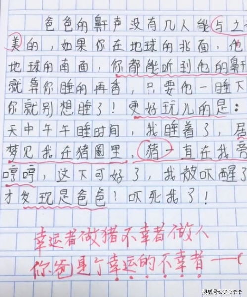 致我們逝去的光陰作文開(kāi)頭