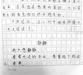 珍貴的東西作文六級(jí)作文開頭