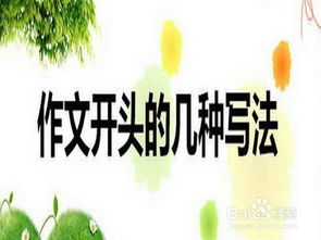 小學(xué)生作文指導(dǎo)寫(xiě)好開(kāi)頭