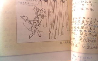 我們上六級了作文600字作文開(kāi)頭和結尾