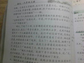 真情敘事作文開(kāi)頭結尾