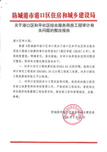 [整改]09工程審計問(wèn)題整改報告(工程質(zhì)量整改報告)