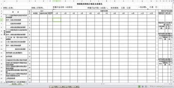 政策執(zhí)行情況自查報(bào)告(政策執(zhí)行情況自查報(bào)告)