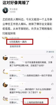 擔(dān)當(dāng)父母離異的作文開頭