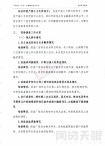 專項(xiàng)審計報告范文精選(專項(xiàng)審計報告范文)