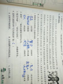 作文以修辭手法開頭600