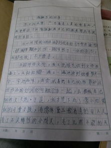 以最難忘的事為題的作文開(kāi)頭結尾
