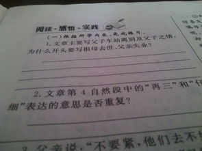 難忘熟悉的背影作文開(kāi)頭結尾