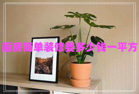 廚房簡單裝修要多少錢一平方