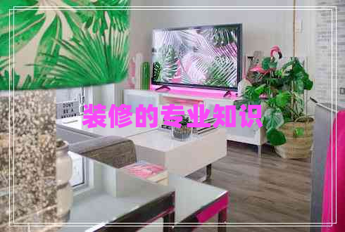 裝修的專(zhuān)業(yè)知識