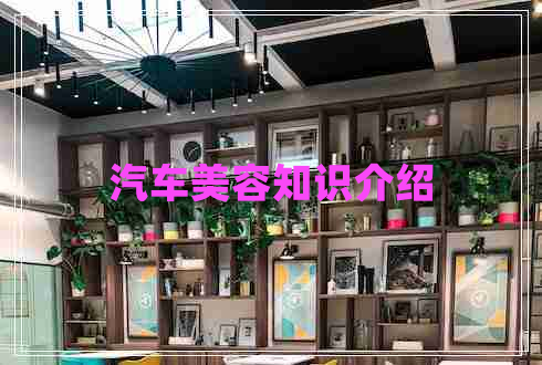 汽車美容知識(shí)介紹