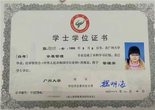 會(huì)展管理自考本科人力三