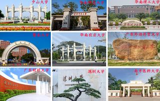 新疆自考本科學(xué)費(fèi)多少錢(qián)啊