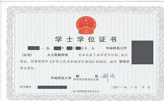 自考本科怎樣申請學(xué)位